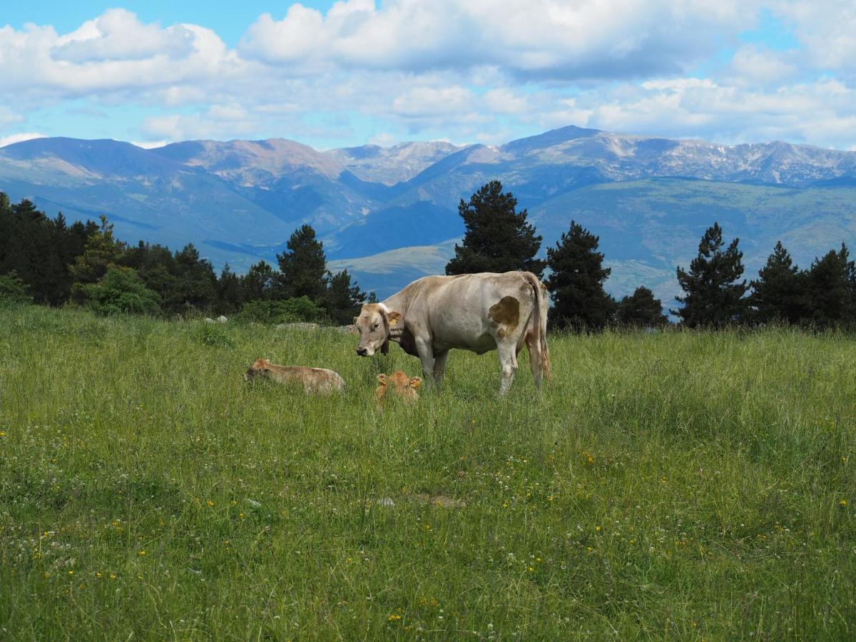 Apartament A La Molina, Grans Vistes, Llar De Foc La Molina  Bagian luar foto